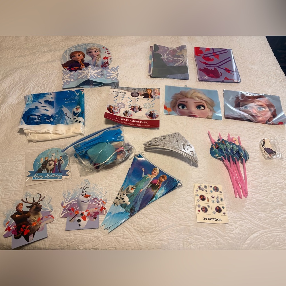 Frozen Themed Party Decorations and Supplies